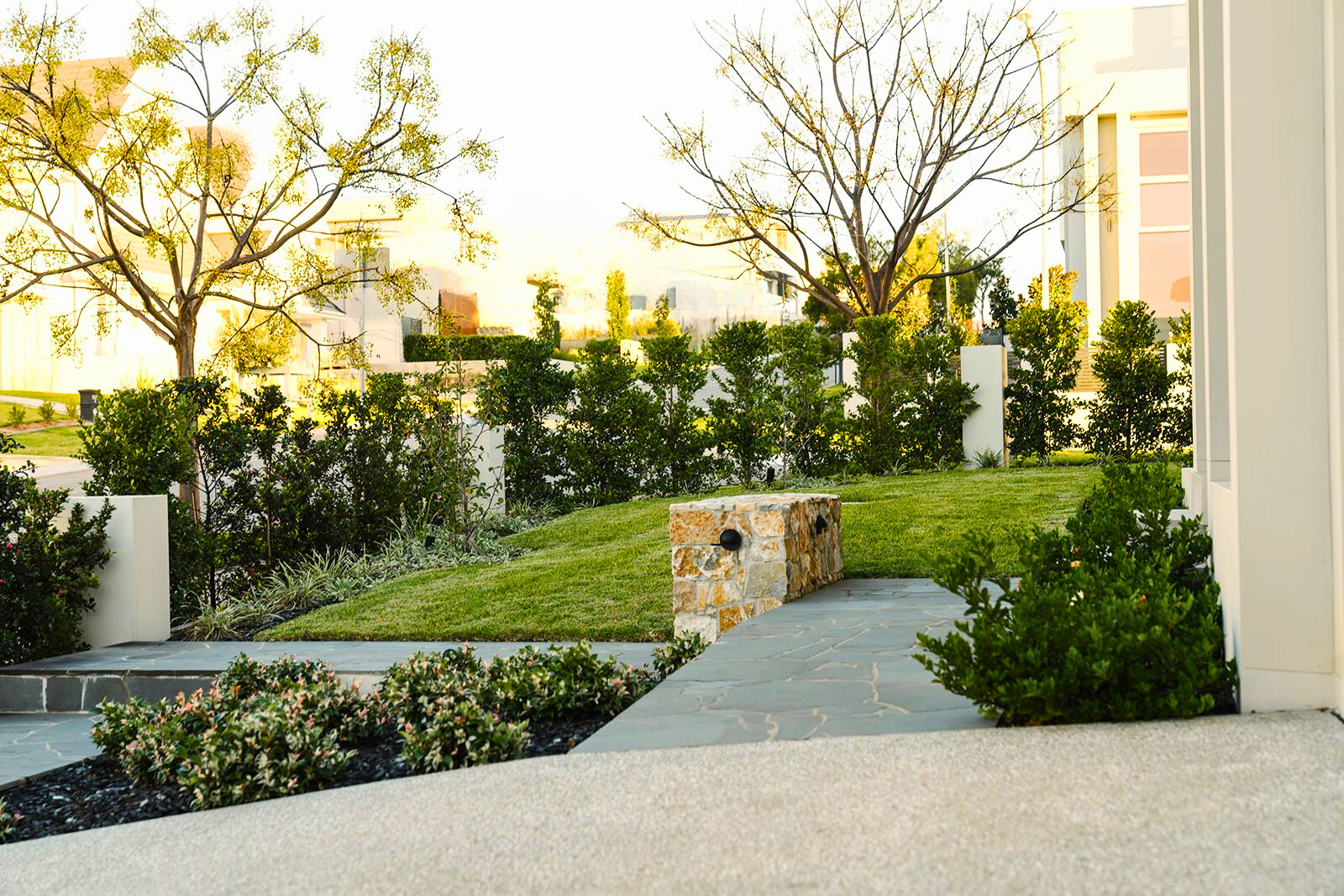 bella vista project